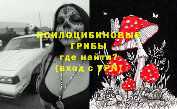 прущие крисы Белоозёрский