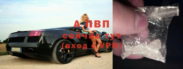 круглые Белокуриха