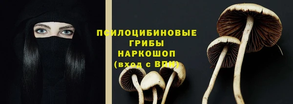 твердый Козельск
