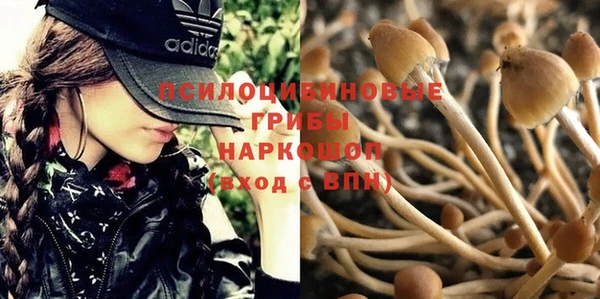марки lsd Беломорск