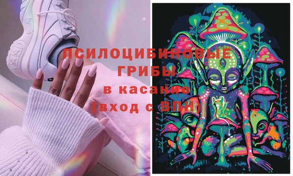 круглые Белокуриха