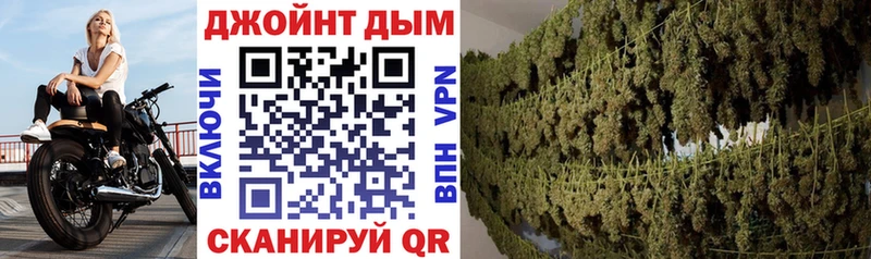 наркота  Солигалич  darknet телеграм  МАРИХУАНА Amnesia 
